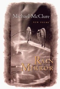 bokomslag Rain Mirror: Poems