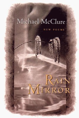 Rain Mirror: Poems 1