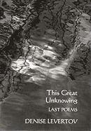 bokomslag This Great Unknowing