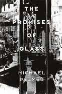 Michael Palmer - The Promises of Glass, Häftad