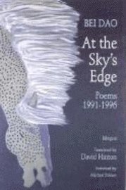 bokomslag At the Sky's Edge - Poems 1991-1996