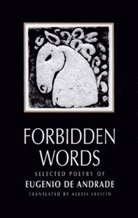 bokomslag Forbidden Words