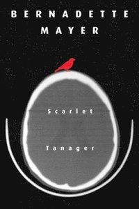 bokomslag Scarlett Tanager