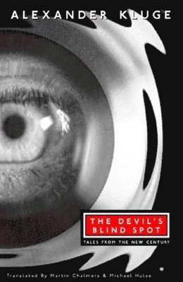 bokomslag The Devil's Blind Spot: Tales from the New Century