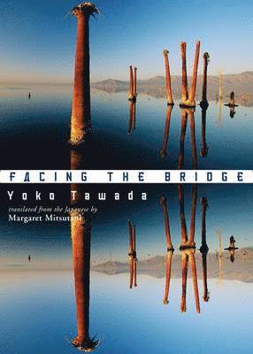 Facing the Bridge