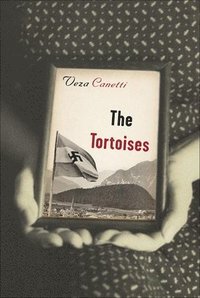 bokomslag Tortoises