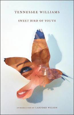 Sweet Bird of Youth 1
