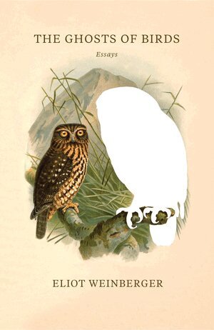 Eliot Weinberger - Ghosts of Birds, Häftad