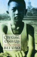 Bei Dao - City Gate, Open Up, Häftad