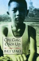 City Gate, Open Up 1