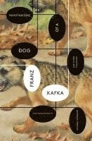 bokomslag Investigations of a Dog