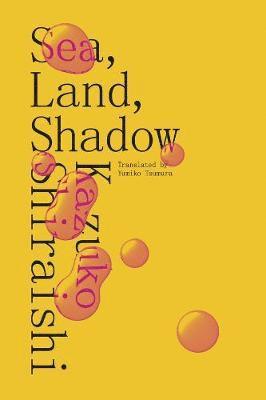 Kazuko Shiraishi - Sea, Land, Shadow, Häftad
