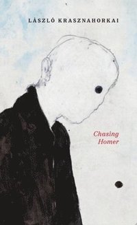 bokomslag Chasing Homer
