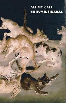 Bohumil Hrabal - All My Cats, Inbunden
