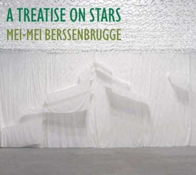 bokomslag A Treatise on Stars