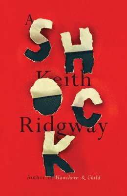 Keith Ridgway - A Shock, Häftad