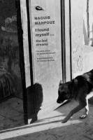 Naguib Mahfouz - I Found Myself - Last Dreams, Häftad