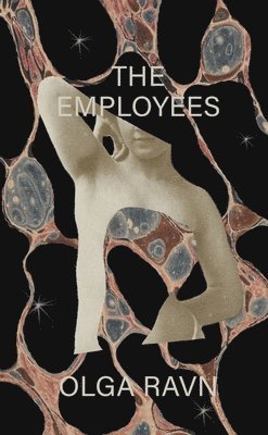 bokomslag Employees - A Workplace Novel Of The 22Nd Century
