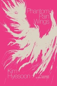 bokomslag Phantom Pain Wings