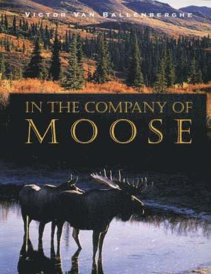bokomslag In the Company of Moose