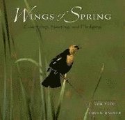 Wings Of Spring 1