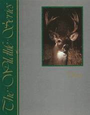 Deer 1