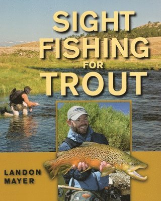 Sight Fishing for Trout 1