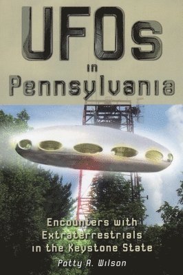 Patty A. Wilson - UFOs in Pennsylvania, Häftad