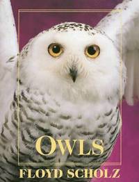 bokomslag Owls
