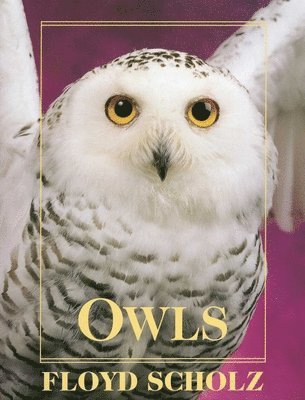 Cynthia Berger, Floyd Scholz - Owls, Inbunden