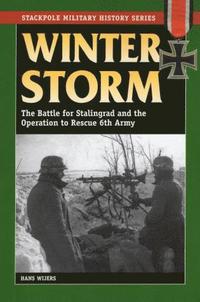 bokomslag Winter Storm