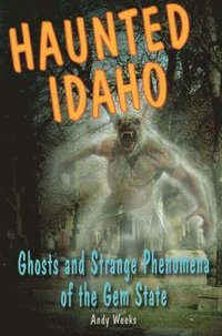 bokomslag Haunted Idaho
