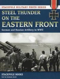 bokomslag Steel Thunder on the Eastern Front