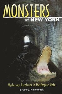 bokomslag Monsters of New York