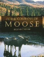 bokomslag In the Company of Moose