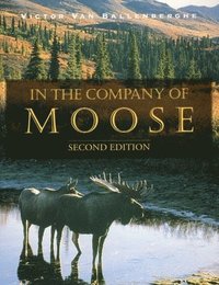 bokomslag In the Company of Moose