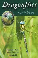 bokomslag Dragonflies: Q&A Guide