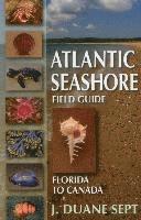 bokomslag Atlantic Seashore Field Guide