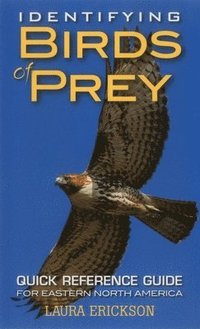 bokomslag Identifying Birds of Prey