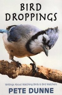 bokomslag Bird Droppings