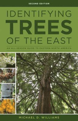 bokomslag Identifying Trees of the East