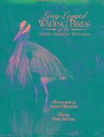 Long-Legged Wading Birds Of The North American Wetlands 1