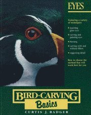 bokomslag Bird Carving Basics