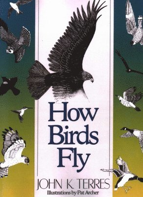 John K. Terres - How Birds Fly, Häftad