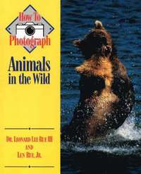 bokomslag How to Photograph Animals in the Wild