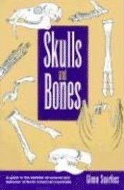 bokomslag Skulls and Bones