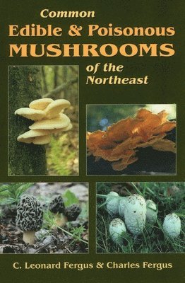 bokomslag Common Edible & Poisonous Mushrooms of the Northeast