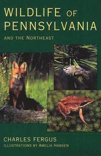 bokomslag Wildlife of Pennsylvania and the Northeast
