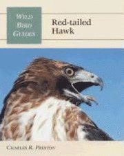 bokomslag Red-Tailed Hawk