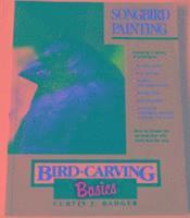bokomslag Bird Carving Basics
